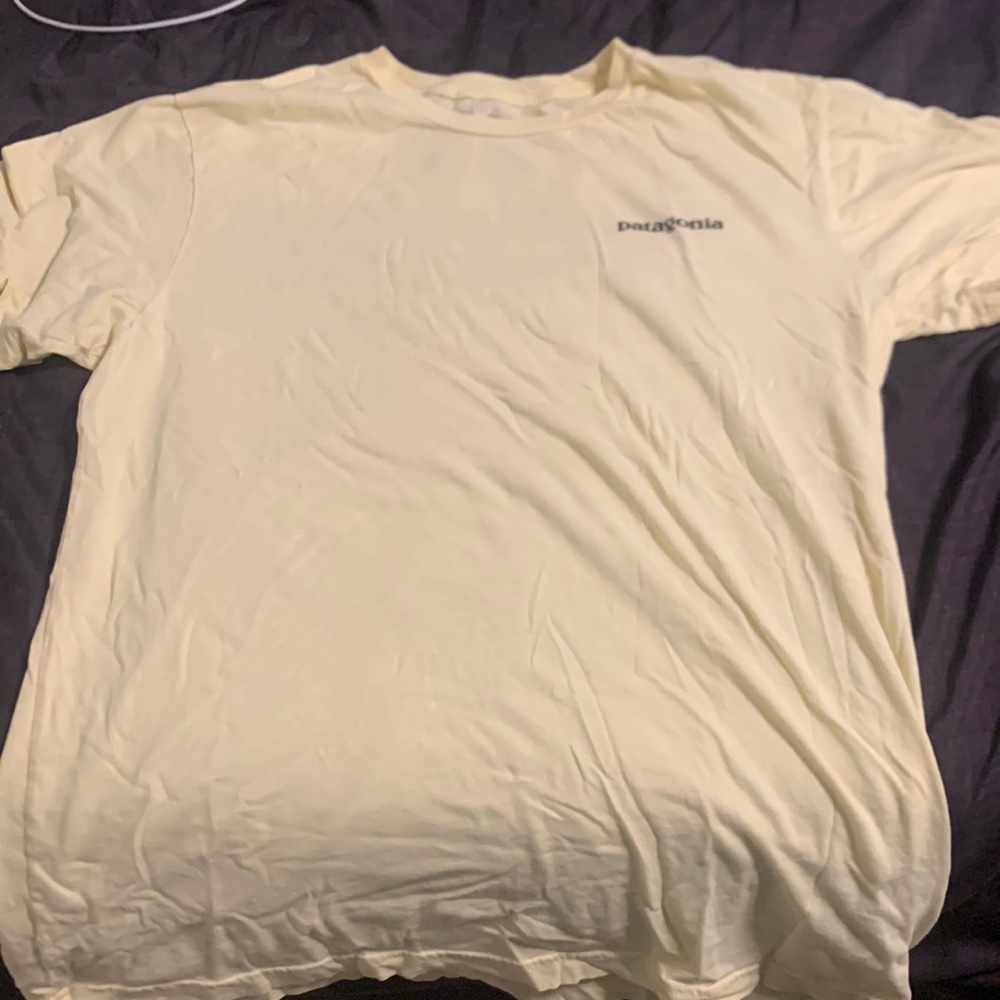 patagonia tshirt